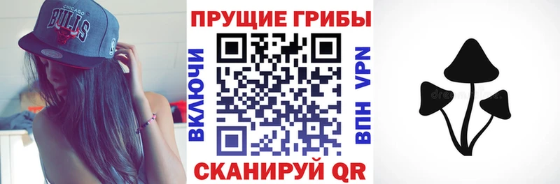 Псилоцибиновые грибы Cubensis  Игра 
